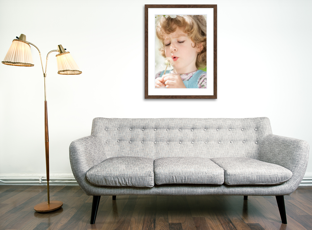 Print with Barn Wood Frame