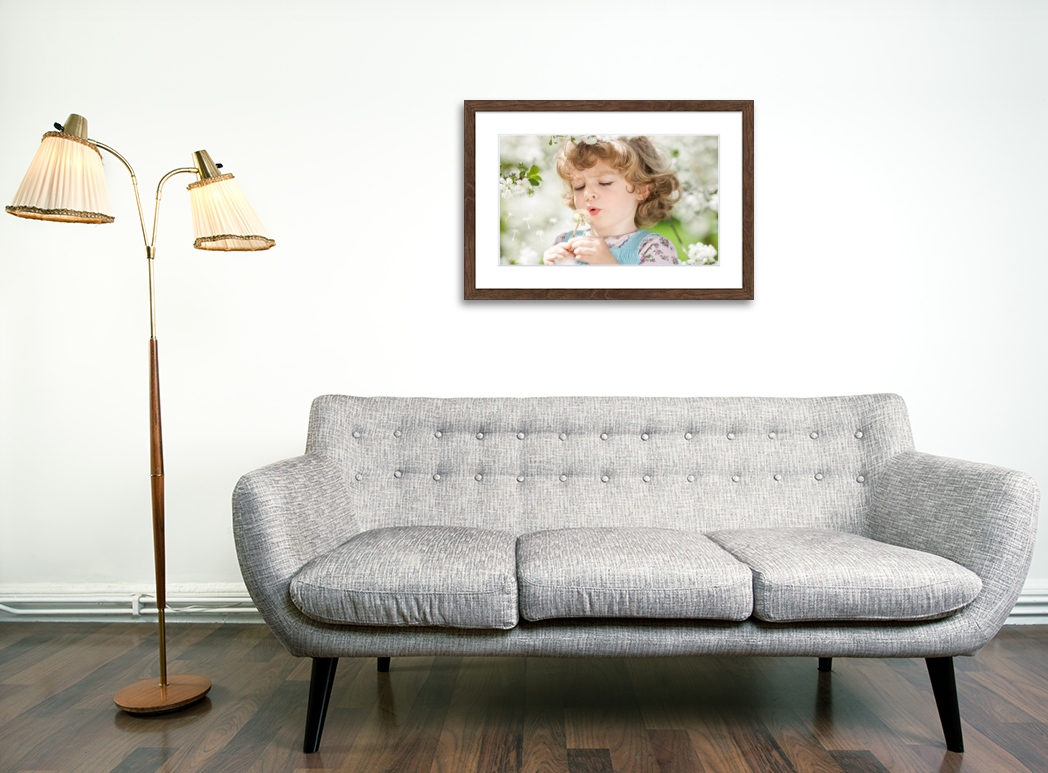 Print with Barn Wood Frame