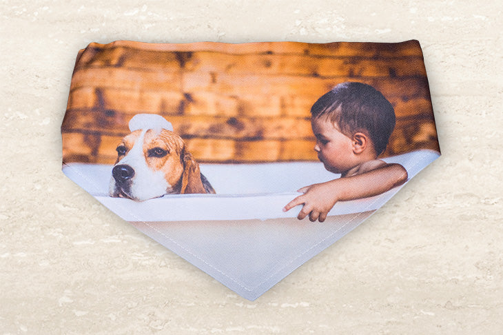 Pet Bandana