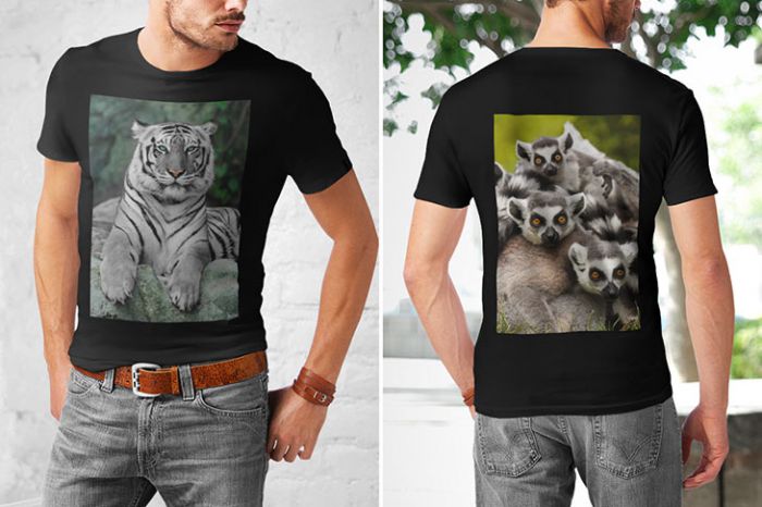 Men's T-Shirt