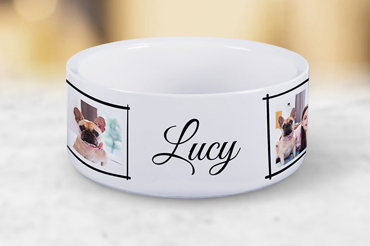 Pet Bowl