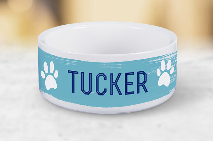 Pet Bowl