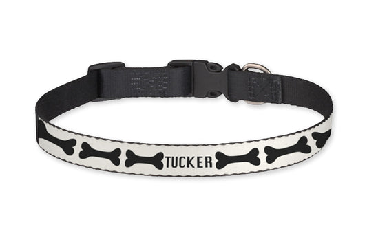 Dog Collar