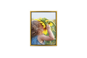 Wrap Canvas with Frame