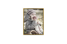 Load image into Gallery viewer, Wrap Canvas with Frame