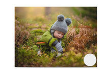 Load image into Gallery viewer, Metallic Pannels