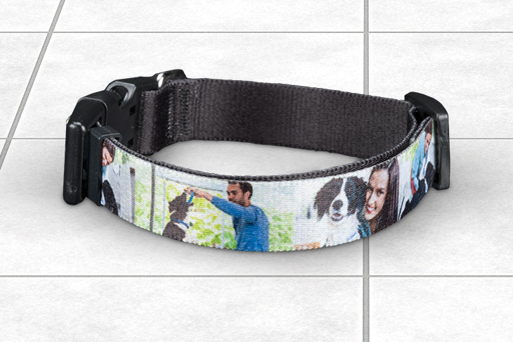 Pet Collar